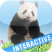 Animals’ world HD - Pictures of animals in high definitiion, sounds an
